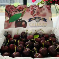 【顺丰快递】樱花澳洲车厘子28-30mm、30-32mm、32-34mm三个规格可选 2kg/箱